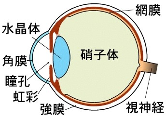アスピリンはインポテンスを助けますか？