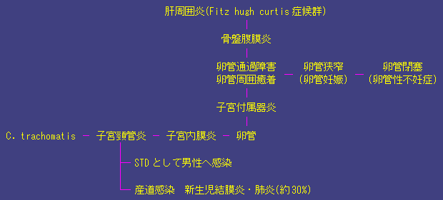 クラミジア 感染 経路
