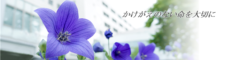 ʍc@l ca@