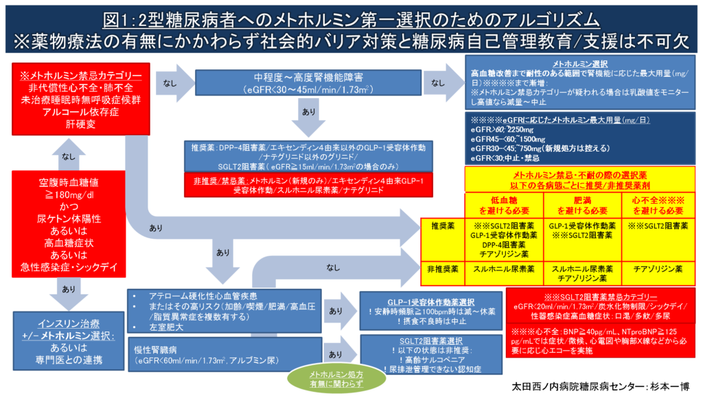 2型糖尿病者へのメトホルミン第一選択のためのアルゴリズム